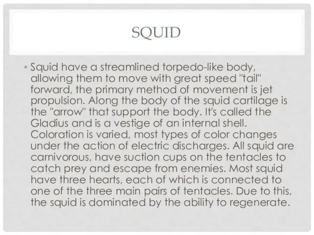 SQUID Squid have a streamlined torpedo-like body, allowing them to