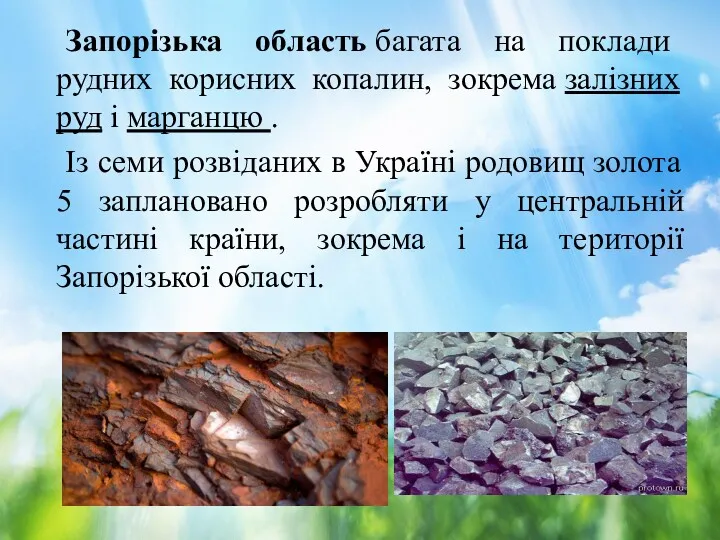 Запорізька область багата на поклади рудних корисних копалин, зокрема залізних