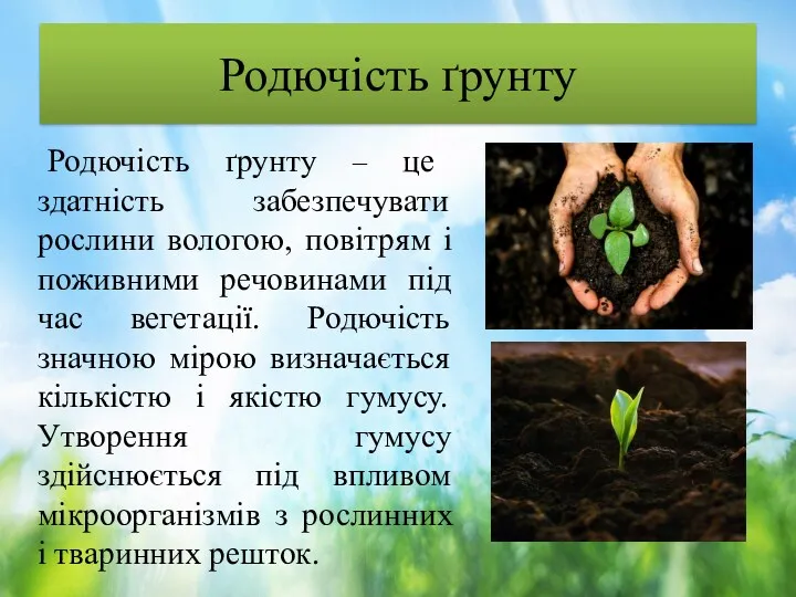 Родючість ґрунту Родючість ґрунту – це здатність забезпечувати рослини вологою,