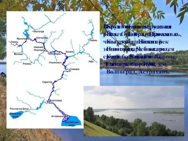 Волга - великая русская река. Она принадлежит к числу крупнейших