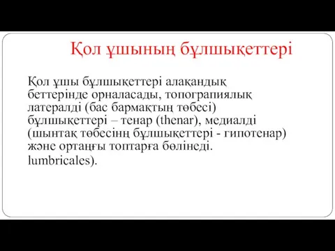 Қол ұшының бұлшықеттері Қол ұшы бұлшықеттері алақандық беттерінде орналасады, топограпиялық