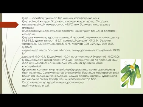 Қияр — асқабақ тұқымдас бір жылдық жапырақты өсімідік. Қияр өсімдігі