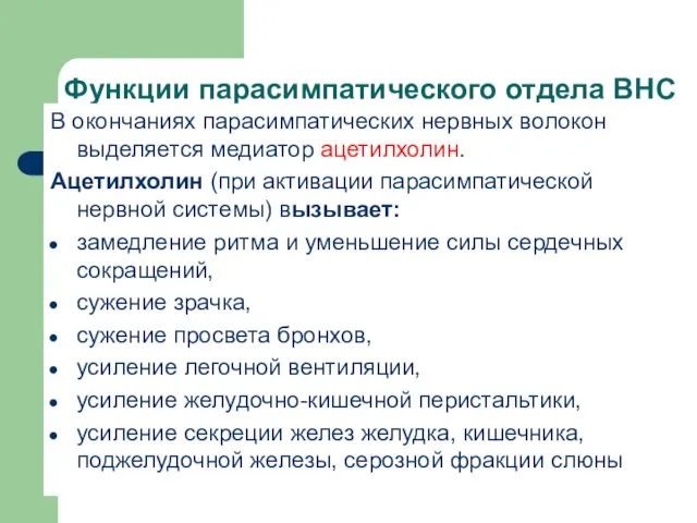 Функции парасимпатического отдела ВНС В окончаниях парасимпатических нервных волокон выделяется