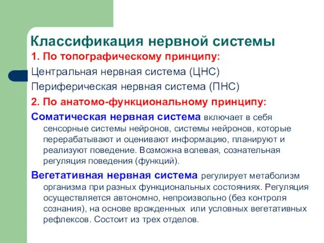 Классификация нервной системы 1. По топографическому принципу: Центральная нервная система