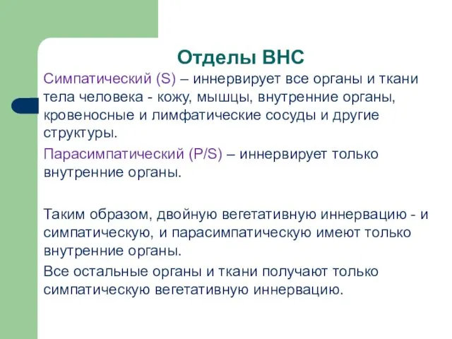 Отделы ВНС Симпатический (S) – иннервирует все органы и ткани