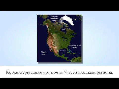 Кордильеры занимают почти ¼ всей площади региона. Мексиканский залив Северный