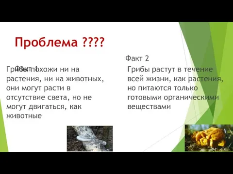 Проблема ???? Факт 1 Грибы похожи ни на растения, ни