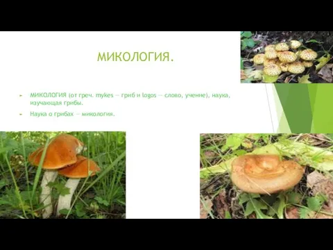 МИКОЛОГИЯ. МИКОЛОГИЯ (от греч. mykes — гриб и logos —