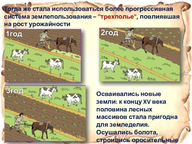 Тогда же стала использоваться более прогрессивная система землепользования – "трехполье",