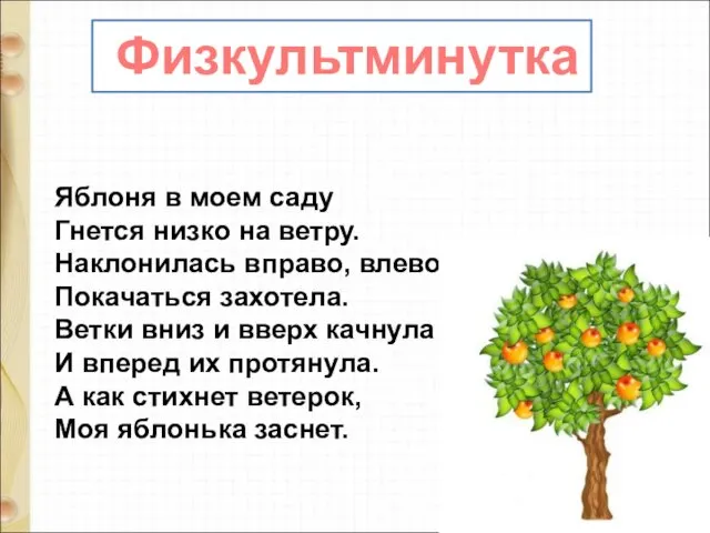 Физкультминутка Яблоня в моем саду Гнется низко на ветру. Наклонилась