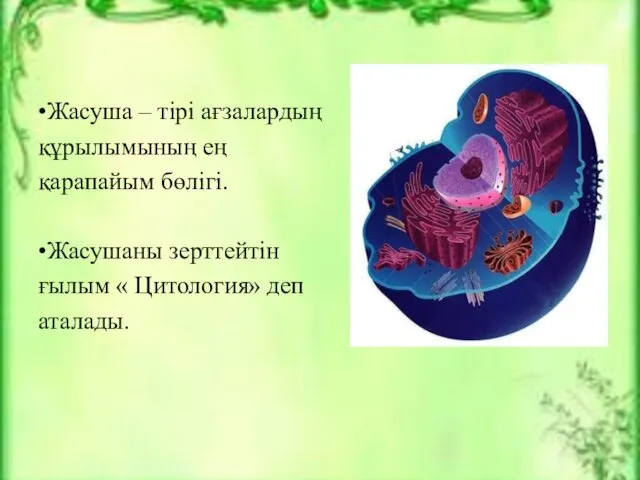 •Жасуша – тірі ағзалардың құрылымының ең қарапайым бөлігі. •Жасушаны зерттейтін ғылым « Цитология» деп аталады.