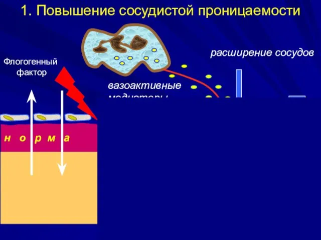 расширение сосудов о ч а г в о с п