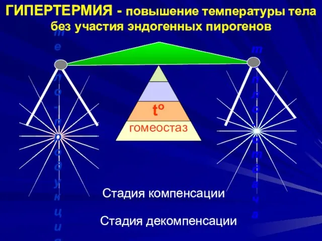 to гомеостаз ГИПЕРТЕРМИЯ - повышение температуры тела без участия эндогенных пирогенов Стадия компенсации Стадия декомпенсации