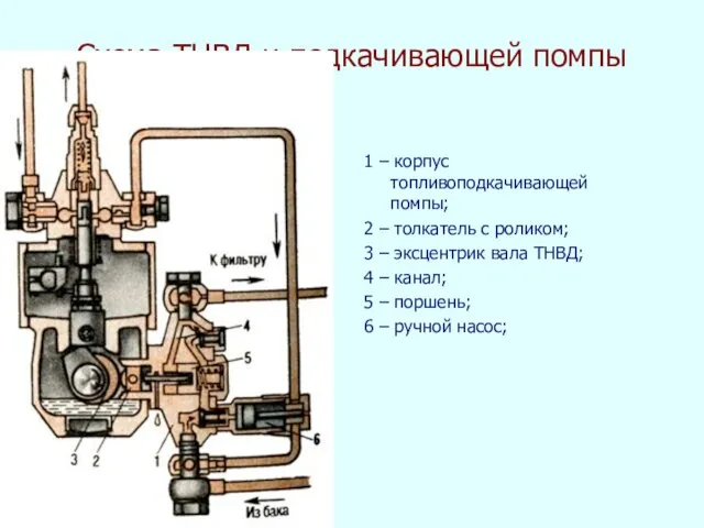 Схема ТНВД и подкачивающей помпы 1 – корпус топливоподкачивающей помпы;