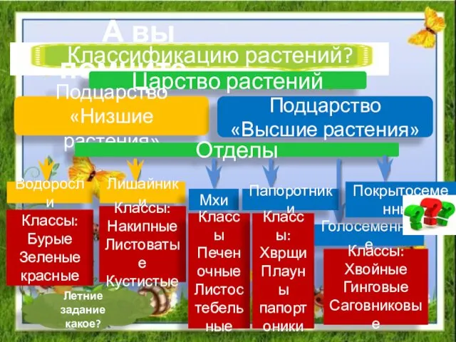 Классификацию растений? А вы помните… Царство растений Подцарство «Низшие растения»