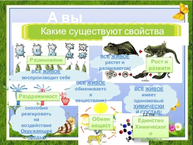 А вы помните… Какие существуют свойства живого? ВСЕ ЖИВОЕ растет