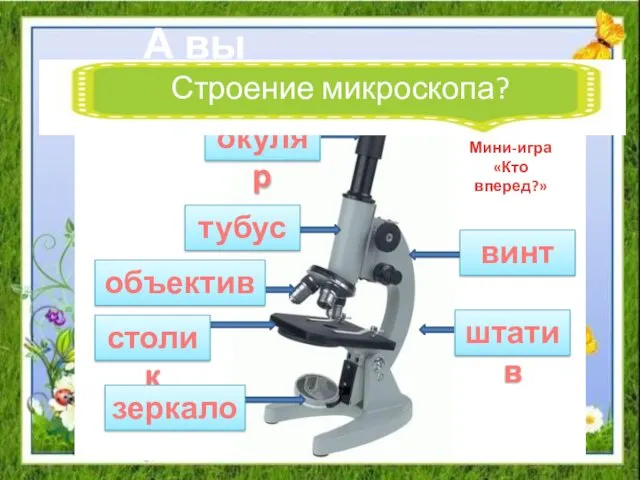 окуляр тубус объектив столик винт штатив зеркало А вы помните… Строение микроскопа? Мини-игра «Кто вперед?»