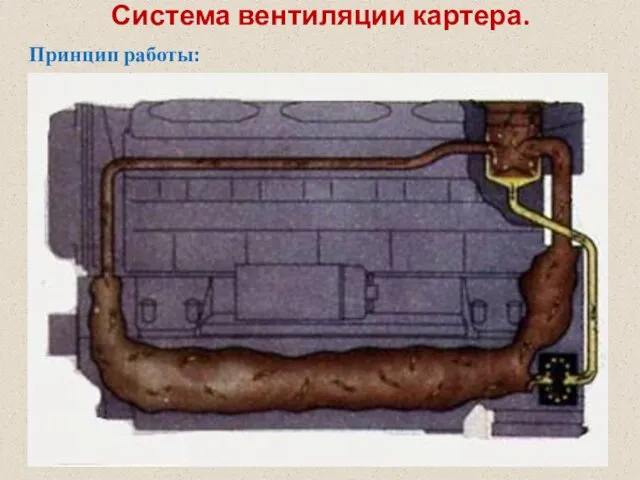 Система вентиляции картера. Принцип работы: При работе двигателя картерные газы