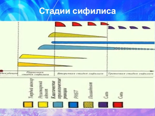 Стадии сифилиса