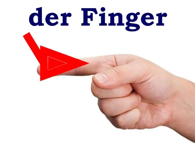der Finger