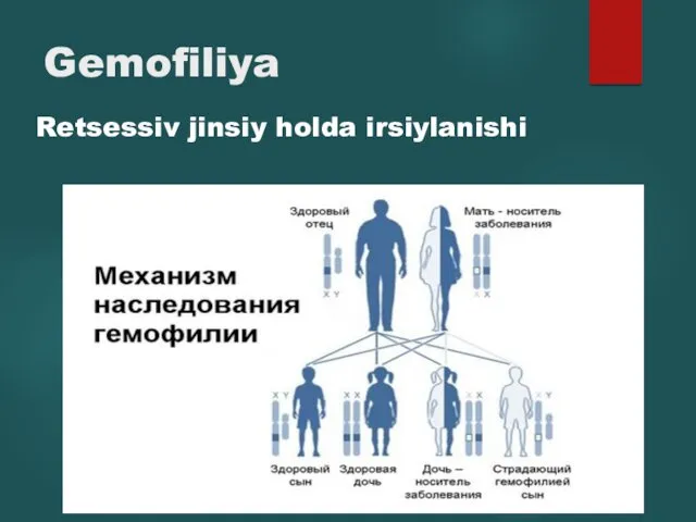 Gemofiliya Retsessiv jinsiy holda irsiylanishi