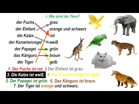 I. Wie sind die Tiere? 1. Der Fuchs ist rot. 2.Der Elefant ist