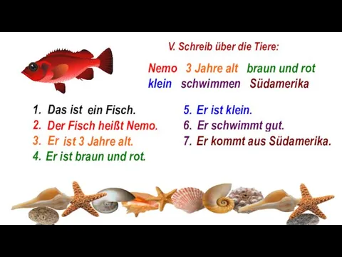 5. ... 6. ... 7. ... Nemo 3 Jahre alt braun und rot