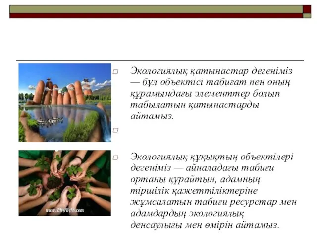 Экологиялық қатынастар дегеніміз — бұл объектісі табиғат пен оның құрамындағы