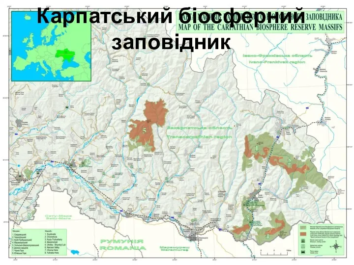 Карпатський біосферний заповідник