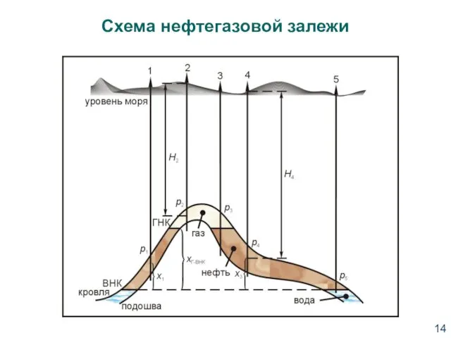 Схема нефтегазовой залежи