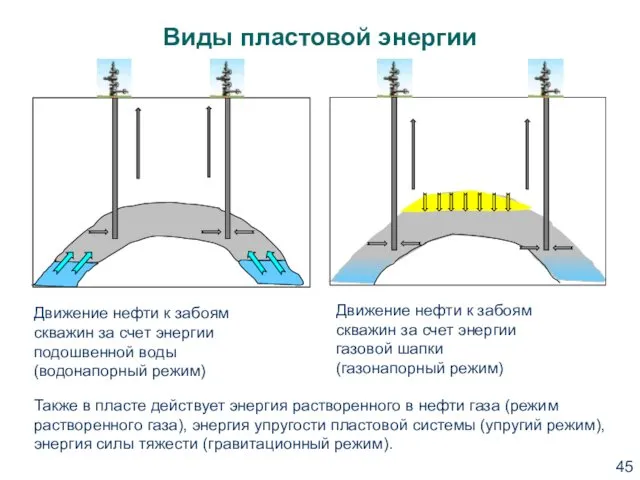 Виды пластовой энергии Движение нефти к забоям скважин за счет