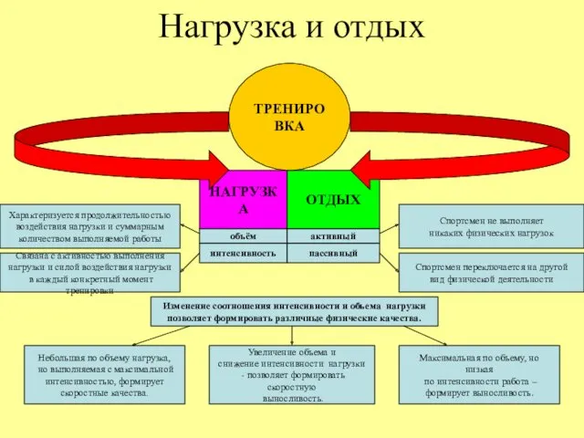 Нагрузка и отдых НАГРУЗКА ОТДЫХ ТРЕНИРОВКА объём интенсивность Характеризуется продолжительностью