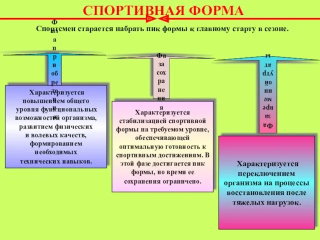 Характеризуется повышением общего уровня функциональных возможностей организма, развитием физических и