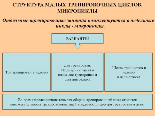 СТРУКТУРА МАЛЫХ ТРЕНИРОВОЧНЫХ ЦИКЛОВ. МИКРОЦИКЛЫ Отдельные тренировочные занятия комплектуются в