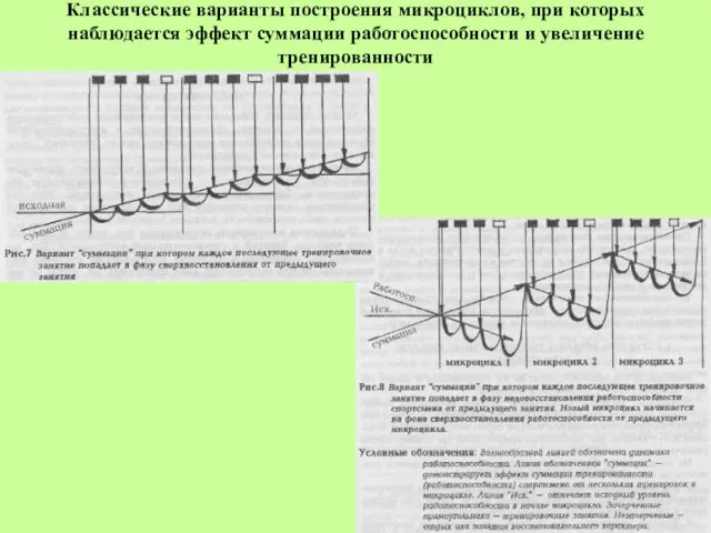 Классические варианты построения микроциклов, при которых наблюдается эффект суммации работоспособности и увеличение тренированности