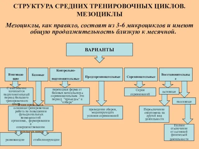 СТРУКТУРА СРЕДНИХ ТРЕНИРОВОЧНЫХ ЦИКЛОВ. МЕЗОЦИКЛЫ Мезоциклы, как правило, состоят из