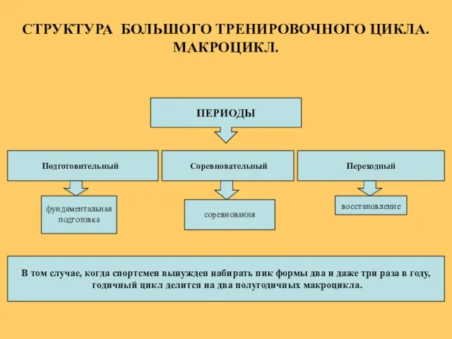 СТРУКТУРА БОЛЬШОГО ТРЕНИРОВОЧНОГО ЦИКЛА. МАКРОЦИКЛ. Подготовительный Переходный ПЕРИОДЫ Соревновательный фундаментальная