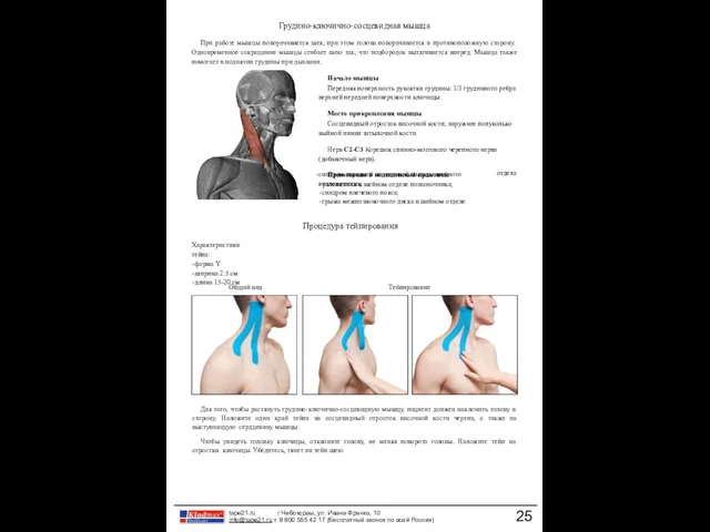 отдела синдром передней лестничной мышцы шейного позвоночника; синдром плечевого пояса;