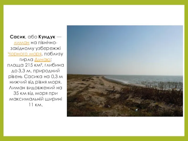 Сасик, або Кундук — лиман на північно-західному узбережжі Чорного моря,