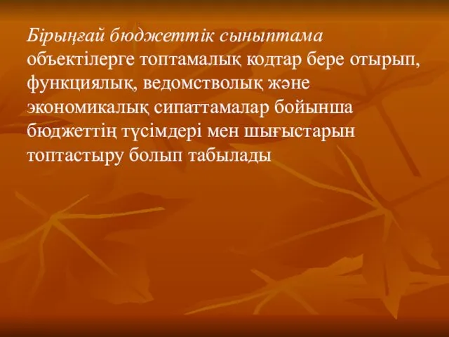 Бірыңғай бюджеттік сыныптама объектілерге топтамалық кодтар бере отырып, функциялық, ведомстволық