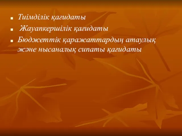 Тиімділік қағидаты Жауапкершілік қағидаты Бюджеттік қаражаттардың атаулық және нысаналық сипаты қағидаты