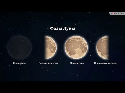 Фазы Луны