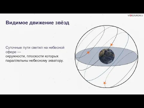 Суточные пути светил на небесной сфере — окружности, плоскости которых параллельны небесному экватору. Видимое движение звёзд