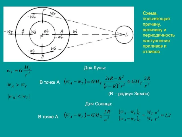 Схема, поясняющая причину, величину и периодичность наступления приливов и отливов