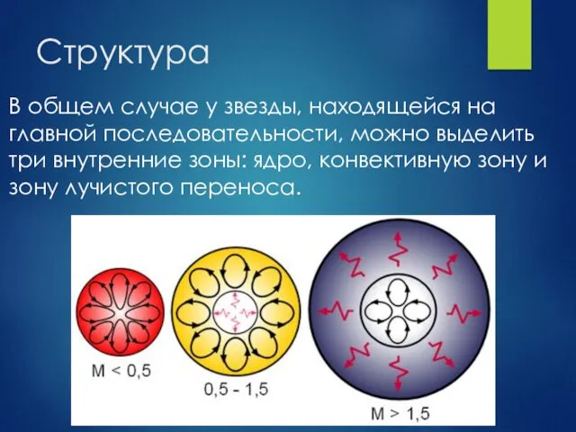 Структура В общем случае у звезды, находящейся на главной последовательности,