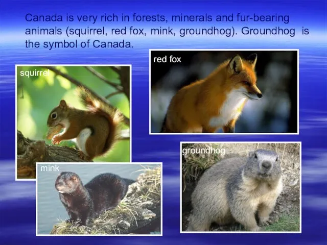Canada is very rich in forests, minerals and fur-bearing animals (squirrel, red fox,
