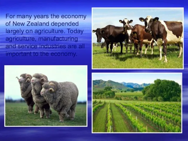 For many years the economy of New Zealand depended largely on agriculture. Today
