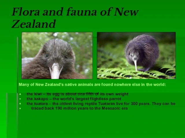 Flora and fauna of New Zealand Many of New Zealand’s