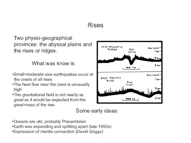 Rises Two physio-geographical provinces: the abyssal plains and the rises