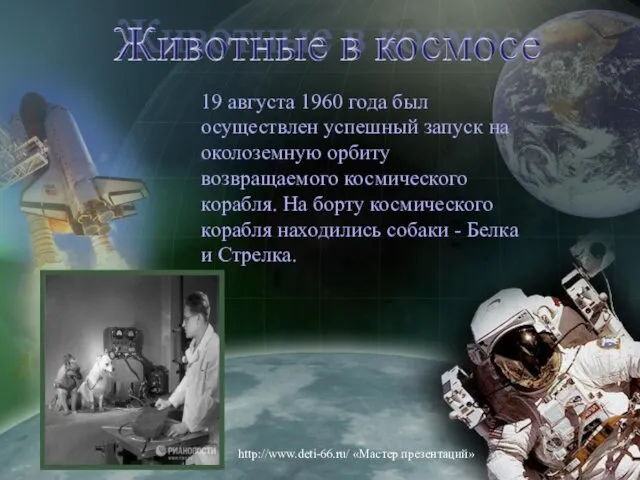 19 августа 1960 года был осуществлен успешный запуск на околоземную